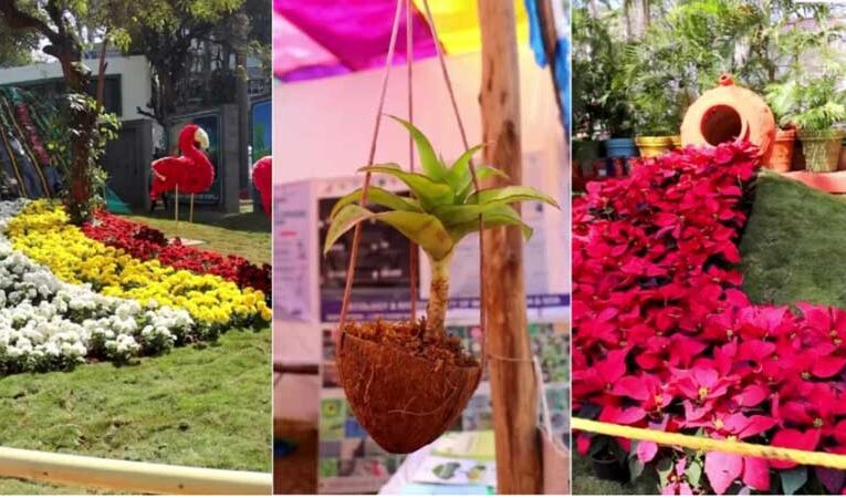 Pune to host 43rd fruits, flowers, and vegetable exhibition from Feb 15