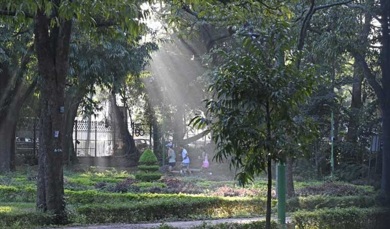 No art complex to be built inside Cubbon Park: Horticulture Department