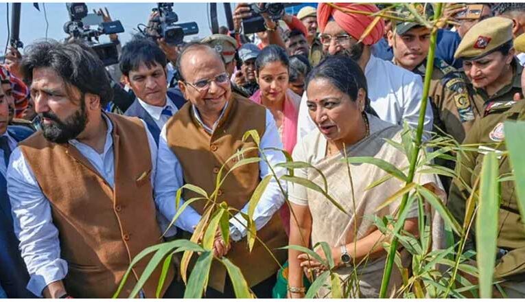 Delhi LG, CM launch bamboo plantation drive at Bhalswa