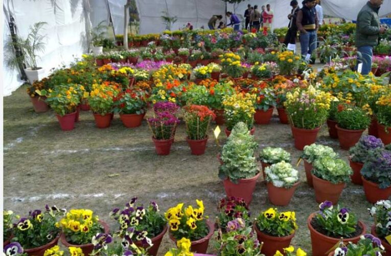 Flower show cancellation casts gloom over Ludhiana residence