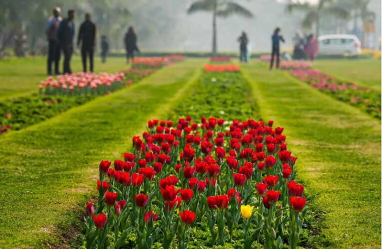 Spring bloom: NDMC and DDA host flower expo