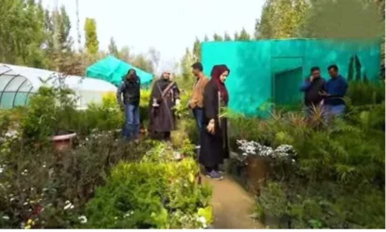 Young Kashmiri couple tastes success in flower business