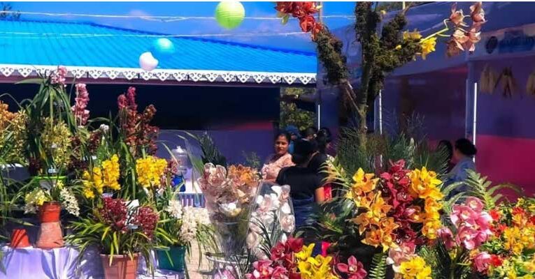 Sikkim hosts Indian Orchid Festival 2025 with gaiety