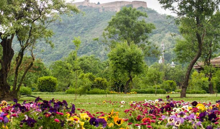 Jammu & Kashmir’s horticulture sector takes long strides